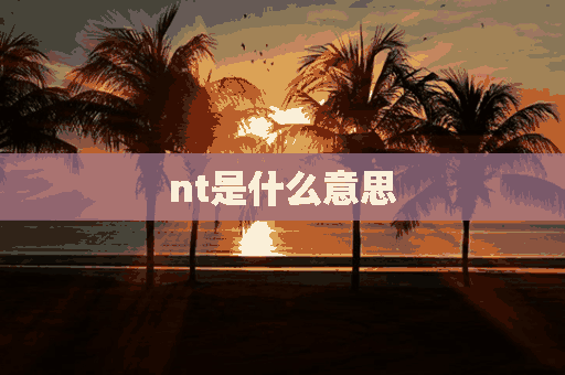 nt是什么意思